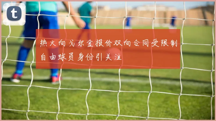 热火向戈尔金报价双向合同受限制自由球员身份引关注