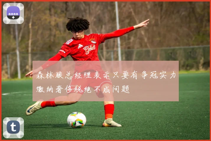 森林狼总经理表示只要有争冠实力缴纳奢侈税绝不成问题